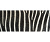 Black/White Pasha  Kitchen Mat KRUG143