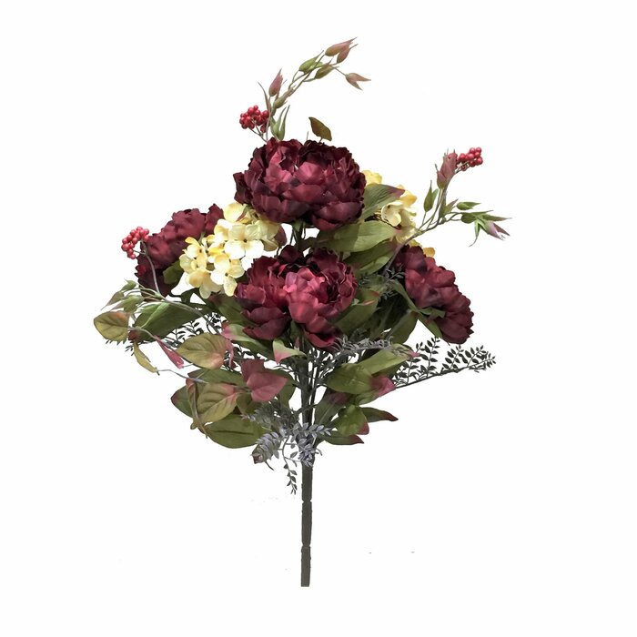 Peonies Bush EE872