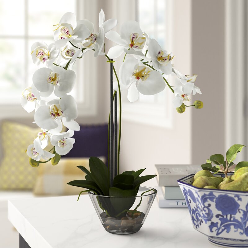 Phalaenopsis Orchid Floral Arrangement in Vase 2374