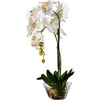 Load image into Gallery viewer, Phalaenopsis Orchid Floral Arrangement in Vase 2374
