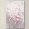 Pink Peony Petals IV by Cora Niele - Photograph on Canvas 47