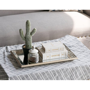 Polanco Accent Mirror (#288)