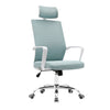 Porthos Home Heath Swivel Office Chair, Mesh Back With Head Support TTR528