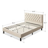 Priage by ZINUS Upholstered Button-tufted Platform Bed Frame - Taupe - Queen