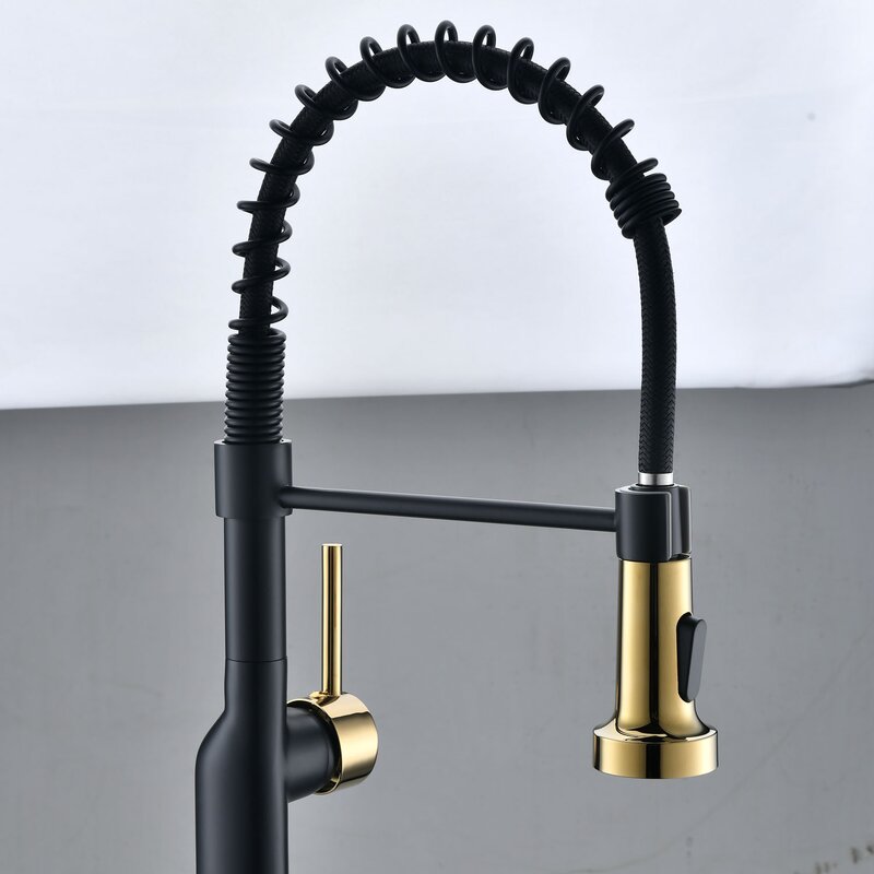 2135BG-1PBM Pull Down Single Handle Kitchen Faucet with Accessories