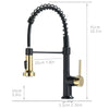 2135BG-1PBM Pull Down Single Handle Kitchen Faucet with Accessories