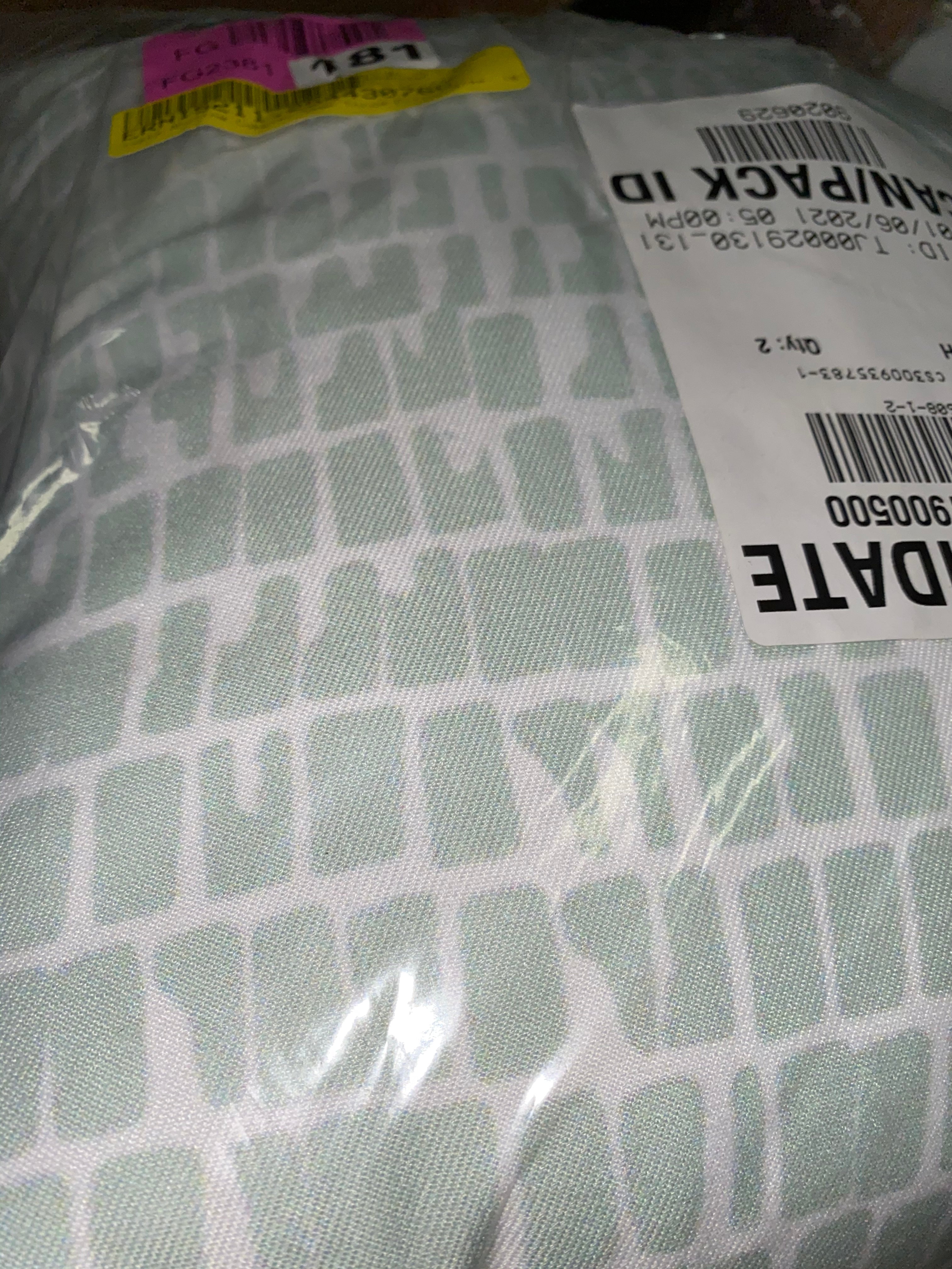 18" x 18" Green Iveta Abolina Cobbler Sage Throw Pillow RA174