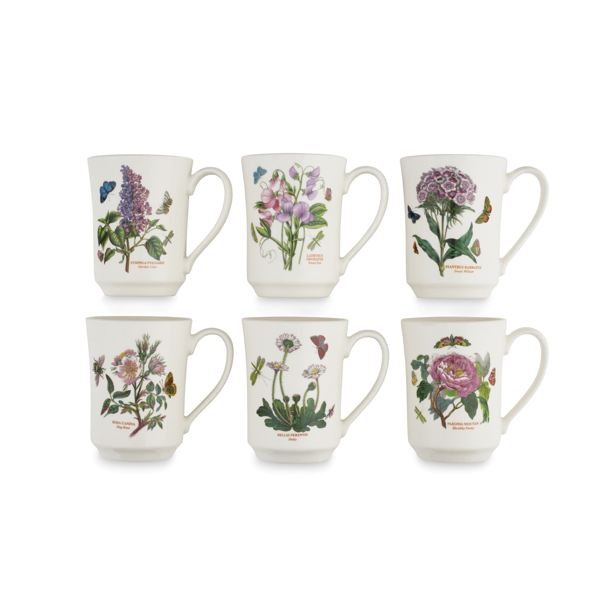 Botanic Garden 14 Ounce Flared Tankard Mug Set of 2 (Assorted Motifs)