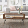Ramsey Coffee Table with Storage  #HA229