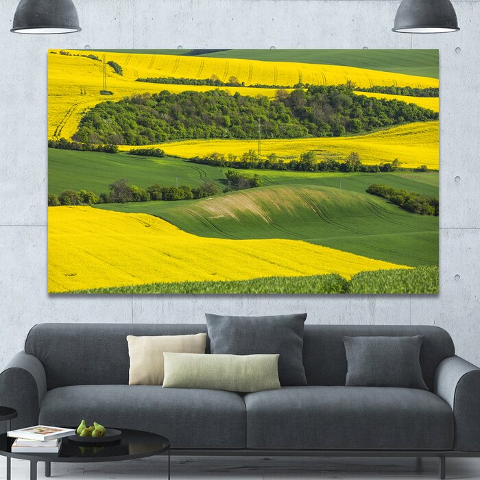 40" H x 60" W x 1.5" D Rapeseed Fields And Green Wheat - Wrapped Canvas Photograph