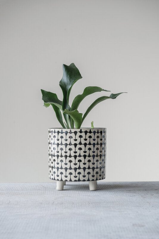 Renita Ceramic Pot Planter (#K1323)