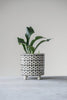 Renita Ceramic Pot Planter (#K1323)