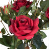 Rose Flowering Plant in Pot 2227
