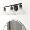 Black Roxann 3-Light Vanity Light LX4783