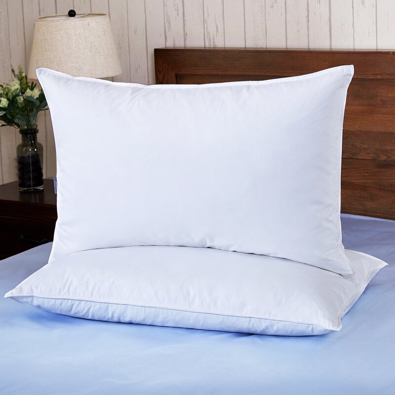 Shaun Firm Down Blend Bed Pillows (Set of 2) Size: Queen  #SA101