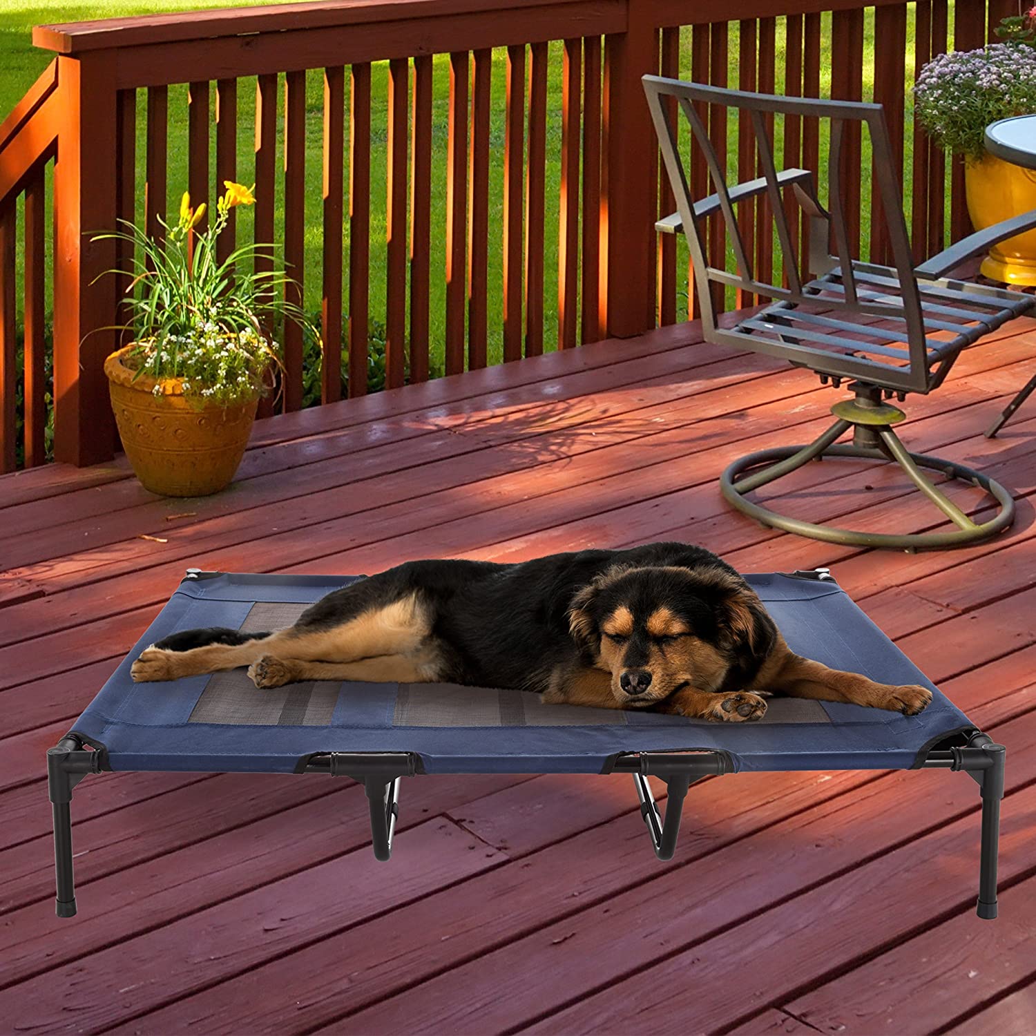 Elevated Portable/Cot-Style Blue XL Pet Bed  #SA1229