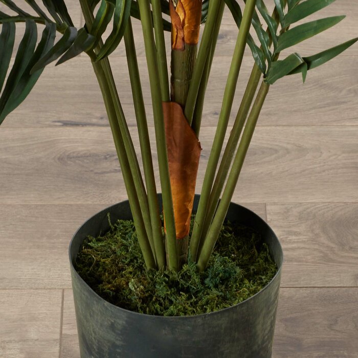 84" Paradise Palm Tree in Pot  #SA1489