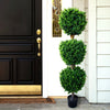 Brooklyn Floor Boxwood Topiary in Pot  #SA324