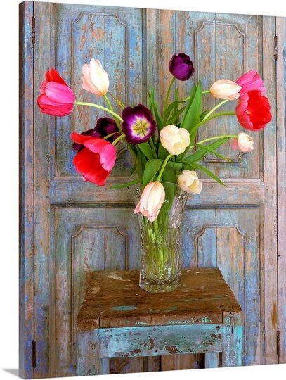 'Tulips, Mexico' - Alan Klug Photographic Print on Wrapped Canvas  #SA562