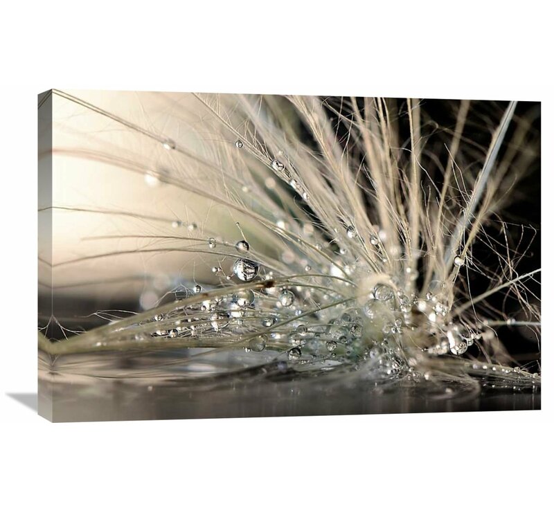 'Pearls' Photographic Print on Wrapped Canvas  #SA746