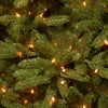 7.5' Scarville Lighted Artificial Fir Christmas Tree