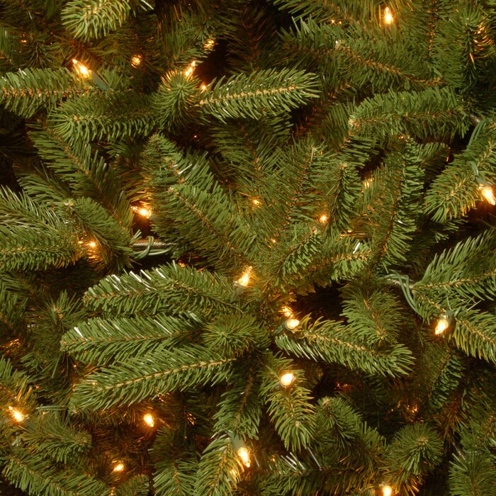 7.5' Scarville Slender Green Realistic Artificial Fir Christmas Tree with Incandescent Steady/Constant Lights