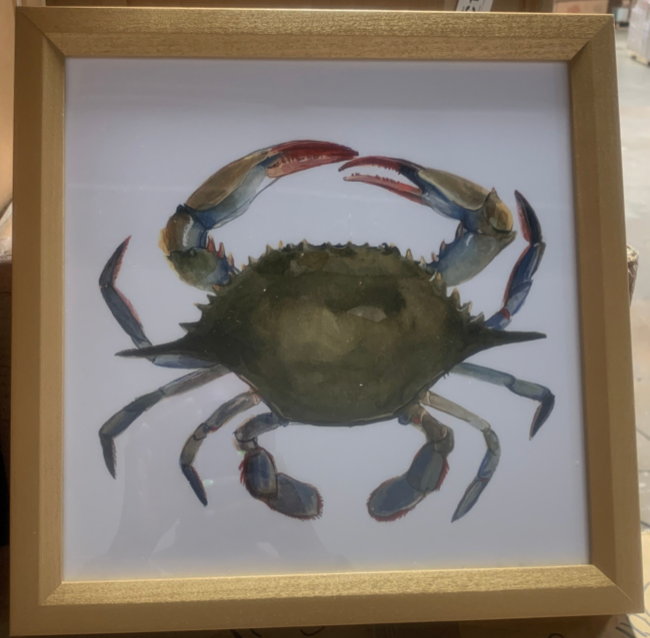 13.125" H x 13.125" W x 1.125" D Watercolor Crab II by Emma Scarvey - Painting on Canvas