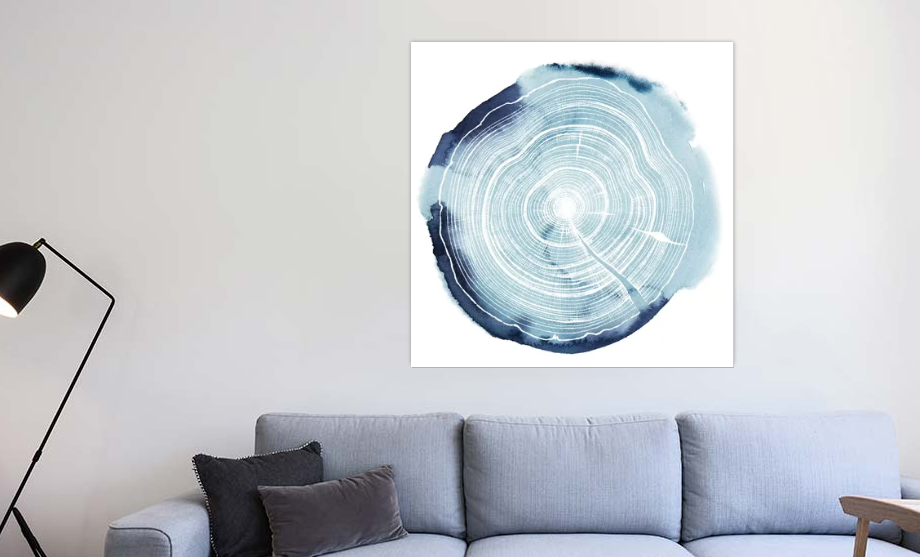 'Tree Ring Overlay III' Graphic Art on Wrapped Canvas - 37" x 37" (#K2775)