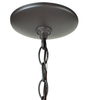 1-Light Single Star Pendant, Bronze/Clear - 10