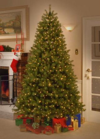 6 ft. Downswept Douglas Fir Artificial Christmas Tree with Clear Lights TTR338