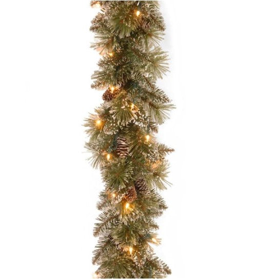 9 ft. Glittery Bristle Pine Garland with Clear Lights