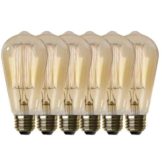 60-Watt ST19 Dimmable Cage Filament Amber Glass E26 Incandescent Vintage Edison Light Bulb, Warm White (6-Pack)