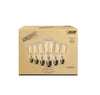 60-Watt ST19 Dimmable Cage Filament Amber Glass E26 Incandescent Vintage Edison Light Bulb, Warm White (6-Pack)