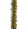 9 ft. Pre-Lit Dunhill Fir Garland with Clear Lights