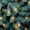 6.5 ft. North Valley Blue Spruce Artificial Christmas Tree with Clear Lights