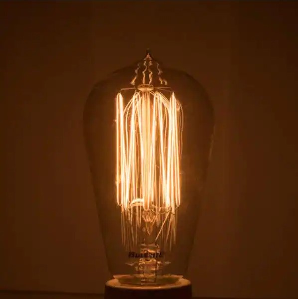 60-Watt ST18 Incandescent Light Bulb Medium Base (E26) Antique Nostalgic Thread 2200K (4-Pack)