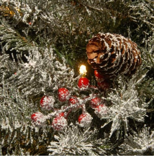 32 in. Snowy Dunhill Fir Bethlehem Star with Battery Operated LED Lights