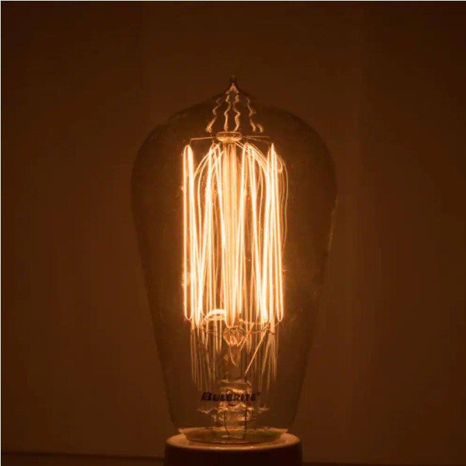60-Watt ST18 Incandescent Light Bulb Medium Base (E26) Antique Nostalgic Thread 2200K (4-Pack)