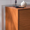 2 Door Mid-Century Modern Wood Storage TV Stand for TVs up to 65