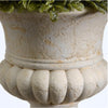 11 in. Boxwood Ball Topiary EJ869