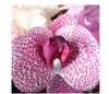12 in. Artificial with Roses and Orchids Bundle