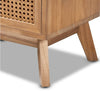 Baden Wood with Rattan 2 Drawer Nightstand Walnut Brown