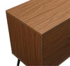 2 Door Mid-Century Modern Wood Storage TV Stand for TVs up to 65