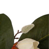 24-Inch Artificial Magnolia Wreath K7993
