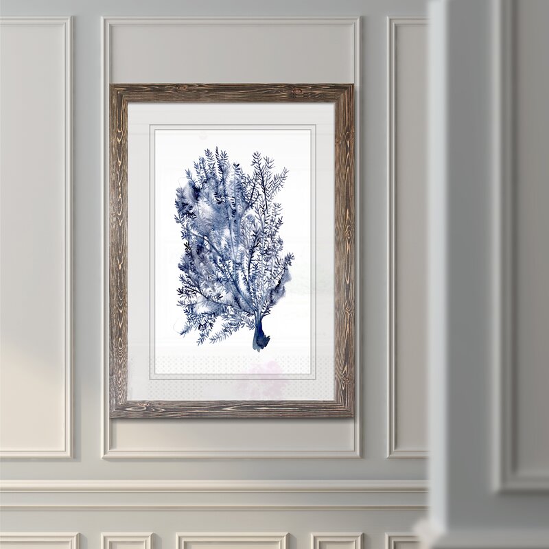 28" H x 38" W x 1.25" D Seaweed Under Water II - Picture Frame Print on Glass