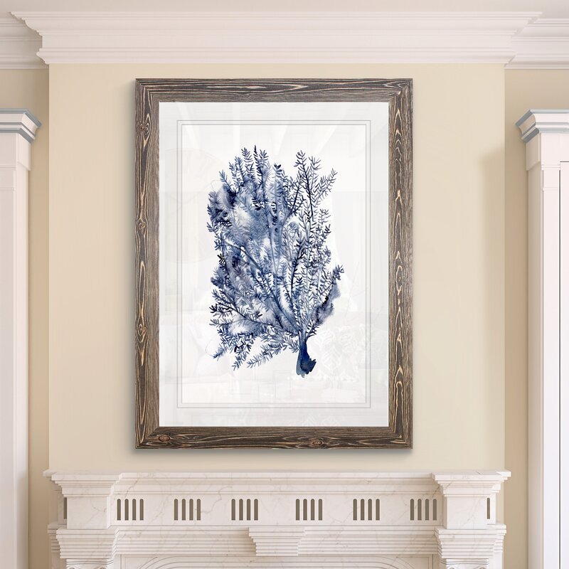 28" H x 38" W x 1.25" D Seaweed Under Water II - Picture Frame Print on Glass