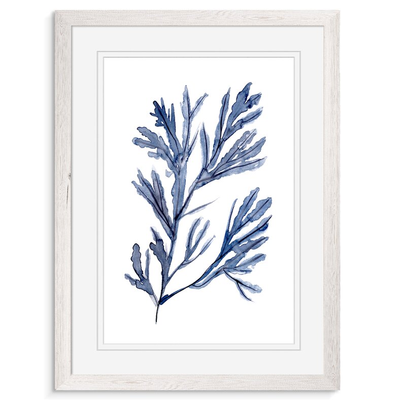 24" H x 18" W x 1.25" D Seaweed Under Water I - Print KB810