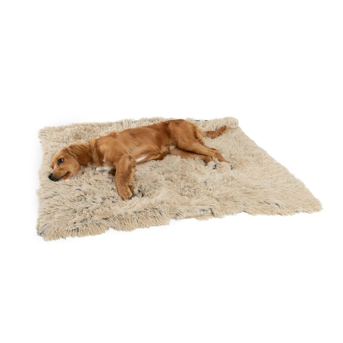 30L x 40W Shag Pet Blanket