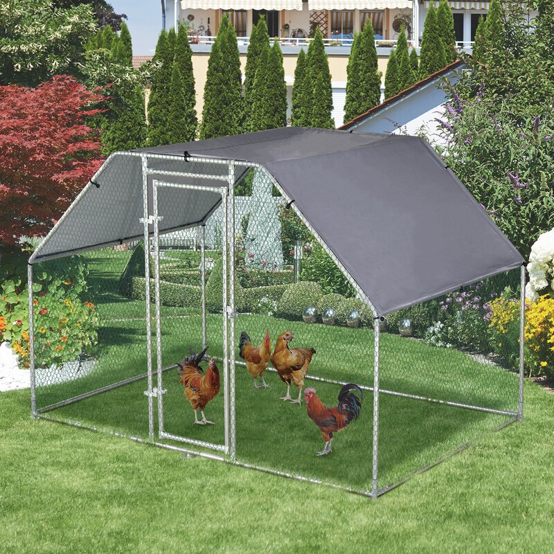 9' x 6' Sharma Walk In Chicken Run with Wire Mesh CYB113