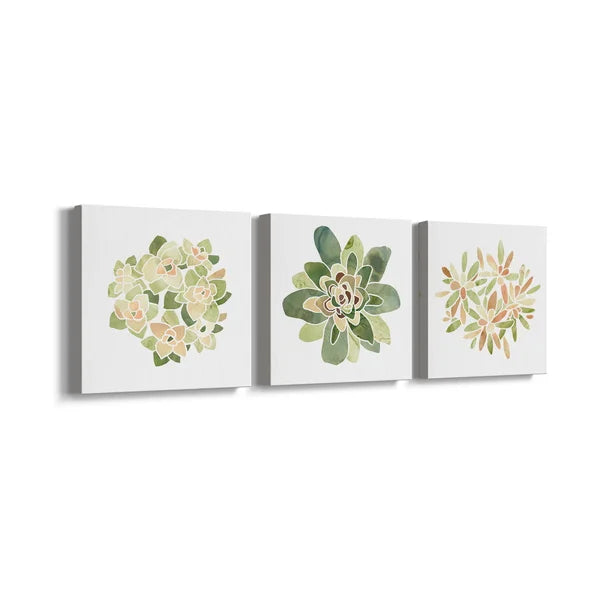 16" H x 48" W x 1" D Succulent Cameo XII - 3 Piece Wrapped Canvas Print Set